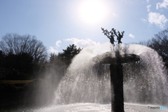 昭和公園 2018