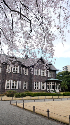 旧古河庭園