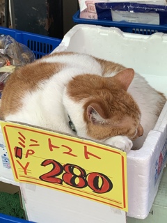 相変わらずの態度