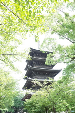 東寺　五重塔