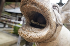 牛の口はくさいの？