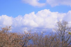 富士山雲でみえない。。