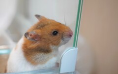 外が気になる