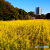 浜離宮恩賜庭園