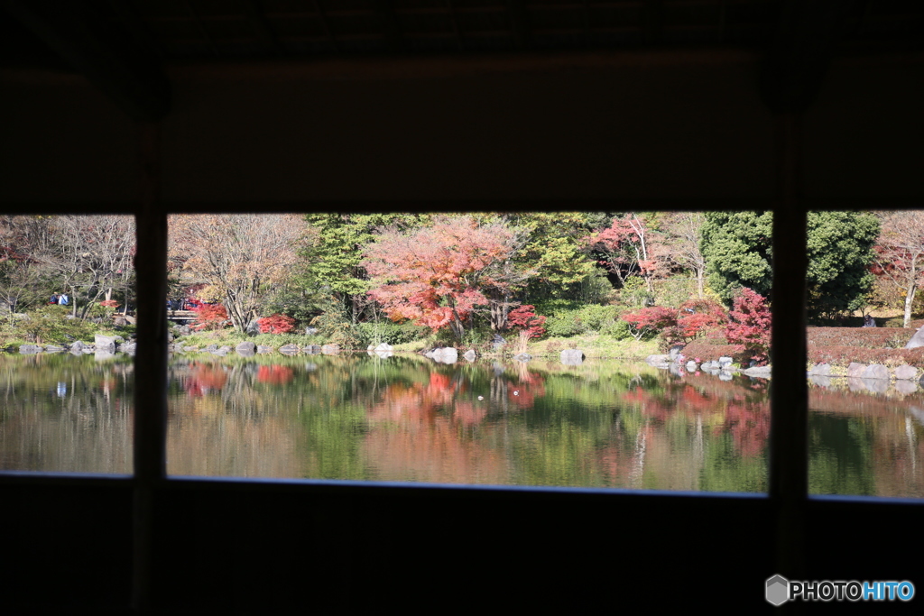昭和記念公園　借景