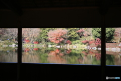 昭和記念公園　借景
