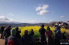 吾妻山　君のなの花