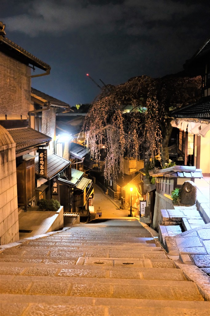 枝垂桜　産寧坂　２０１９年