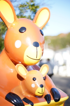 カンガルーのポスト