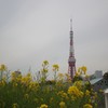 東京タワー　