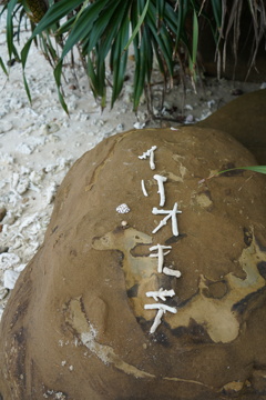 西表島