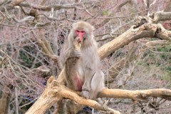 足が臭い