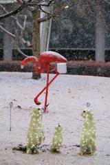 雪の動物園