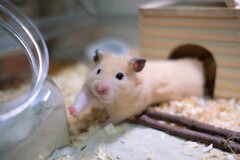 おはよ～、のみのびしましょう～　リラックス