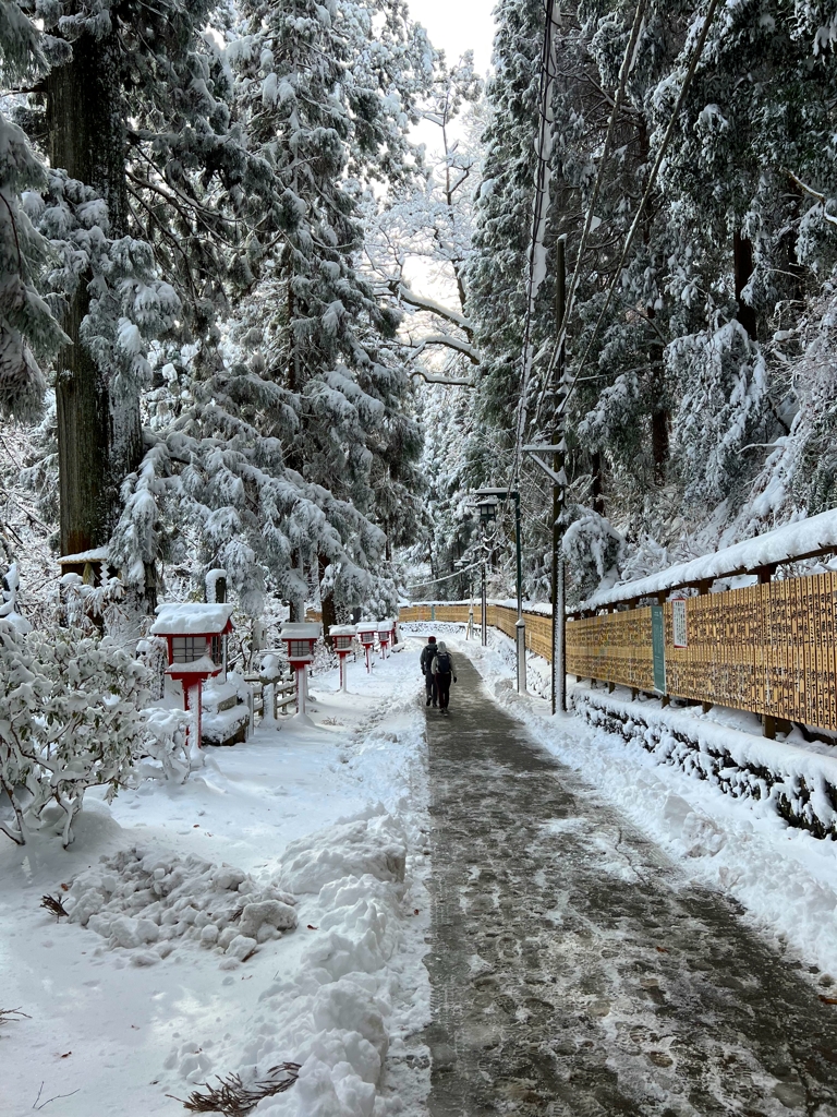 雪の山道
