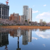 上野　不忍の池