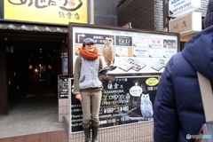 フクロウカフェ