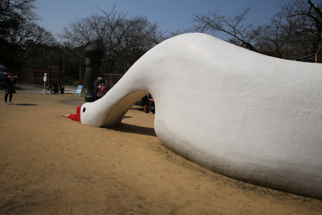 強大なコブはくちょう