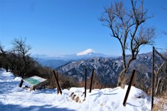 大山からの富士山