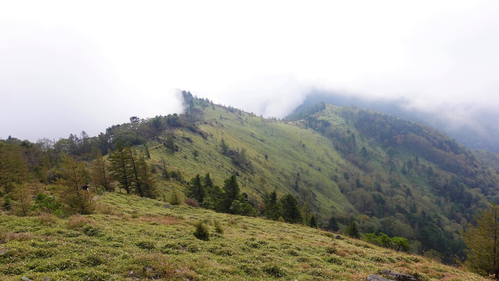 大菩薩峠の風景
