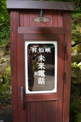 電話が聞こえませんでした。未来ないのかな
