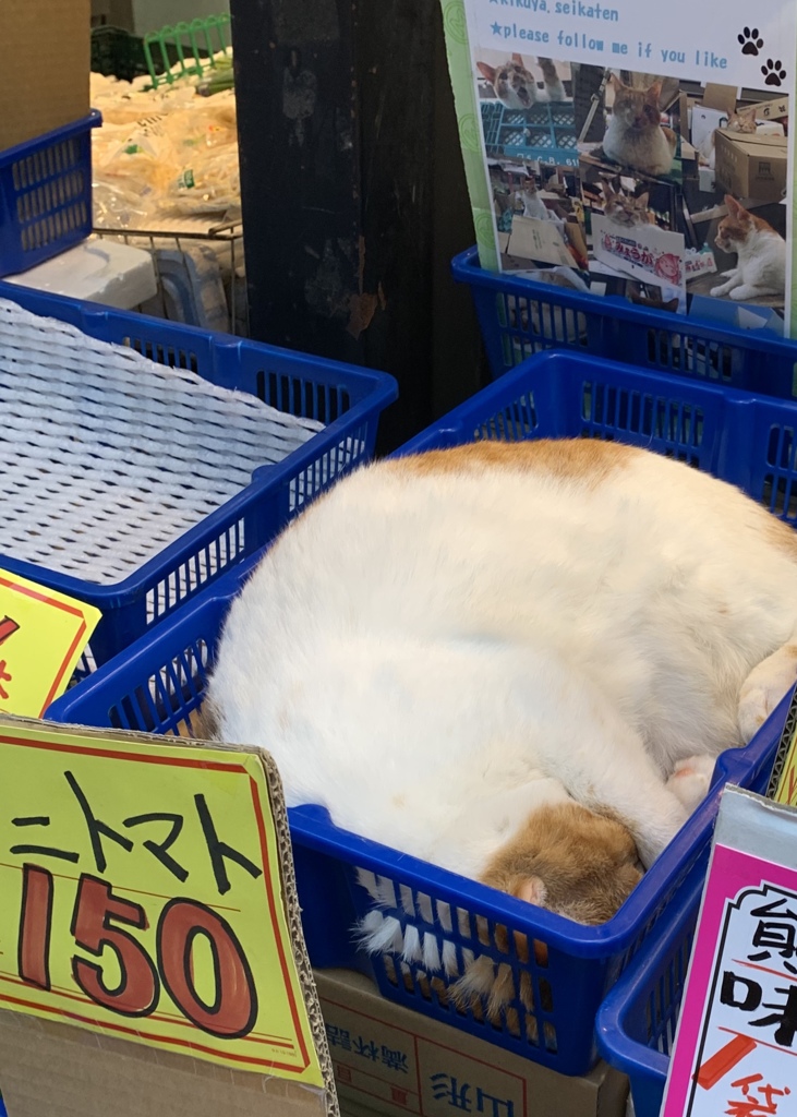 今日は宣伝部長