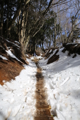 大山  雪登山