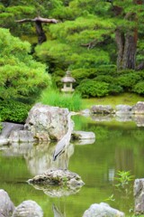 桂離宮