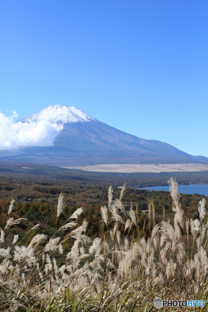 富士山