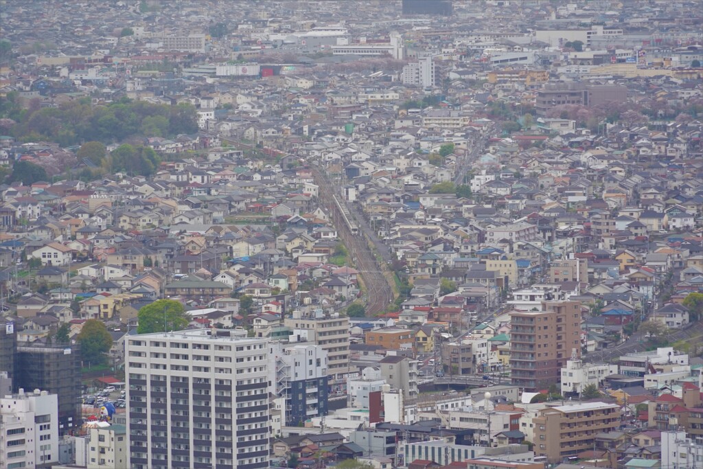 秦野市街