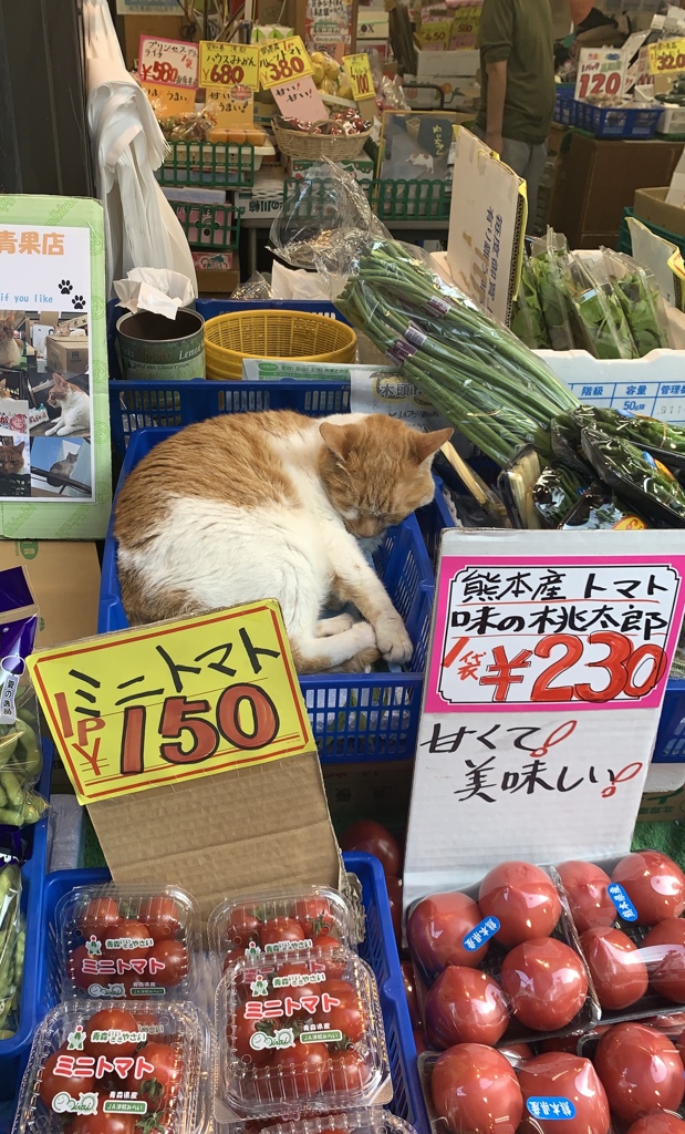 この子は売れないなあ〜