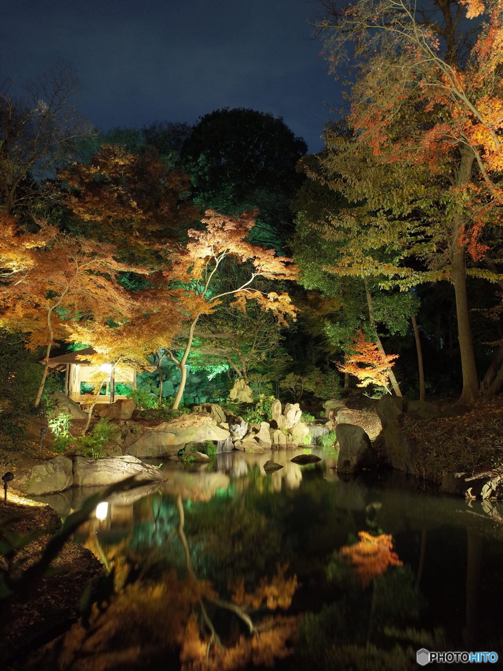 六義園　紅葉