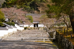 京都にて