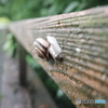 公園　でんでん