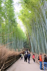 竹林