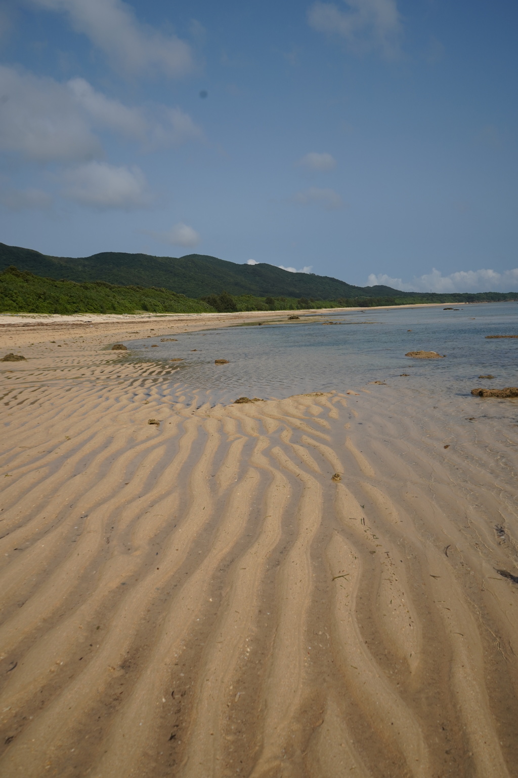 西表島
