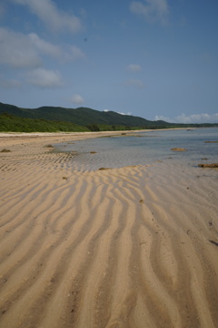 西表島