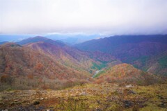 紅葉がすごい