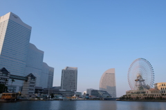 大岡川の桜