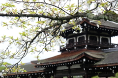 平安神宮