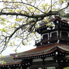 平安神宮