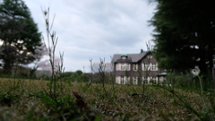 旧古河庭園