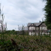 旧古河庭園
