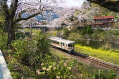 山北にて