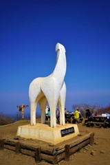 陣馬山のお馬さん