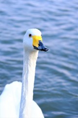上目づかい