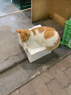 番頭中です