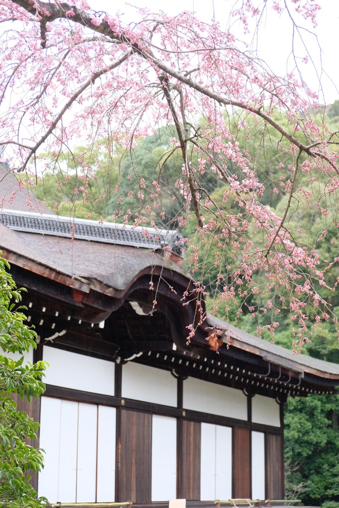京都