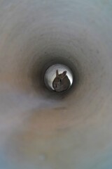 トンネルの奥に