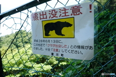 くまったくまった